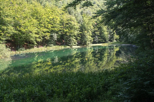 Sırbistan 'da Grza Gölü ve Grza Nehri