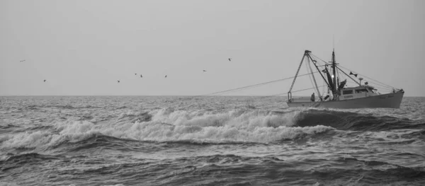 Mesmerizing Shot Boat Middle Sea Catching Shrimp North Carolina Grayscale — Fotografia de Stock