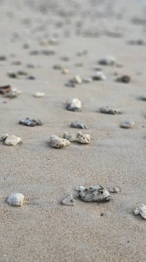Kumlu bir sahilde çakıl taşlarının dikey yakın çekimi