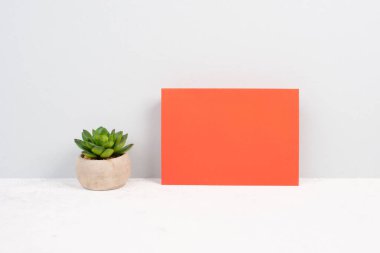 Kalem ve kaktüs desenli boş bir kağıt, yeni fikirler için beyin fırtınası, mesaj yazmak, ara vermek, ofis masası.