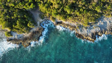Bir deniz manzarası ve kıyı ormanı.