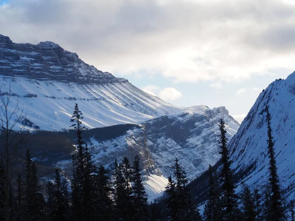 Een Prachtig Shot Van Een Besneeuwde Berg Vallei — Stockfoto