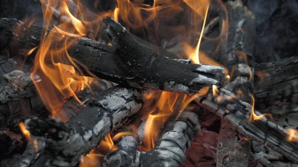 Nahaufnahme Eines Hell Brennenden Waldfeuers Wald — Stockfoto