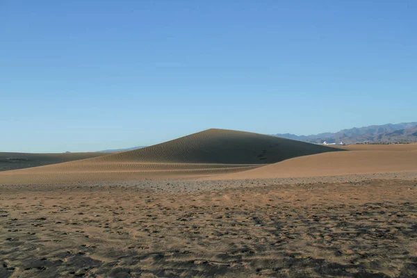 Vacker Sandkulle Maspalomas Sanddyner Gran Canaria Kanarieöarna Spanien — Stockfoto