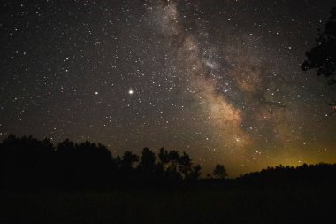 A beautiful galaxy night sky over a forest silhouette