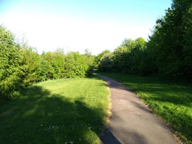 Parlak yeşil bir parkta uzun bir yürüyüş yolu