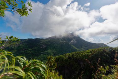 Mahe Adası, Seyşeller 'de güzel bir dağ manzarası