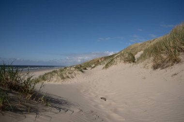 Sahilde bulutlu gökyüzünün altında arka planda deniz olan güzel bir uçurum görüntüsü.