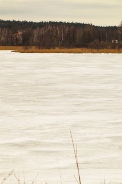 A vertical shot of frozen lake with trees in the background