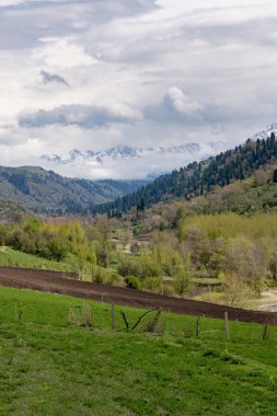 Yeşil çimenlerin, yeşil ağaçların, bir yolun ve bulutlu gökyüzünün altındaki yeşil tepelerin güzel bir görüntüsü.
