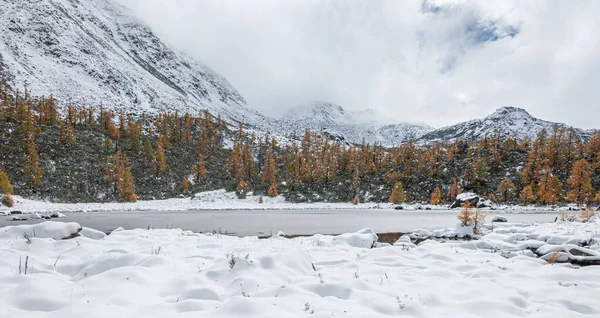 Hermoso Paisaje Invierno Con Lago Alpino Rodeado Árboles — Foto de Stock