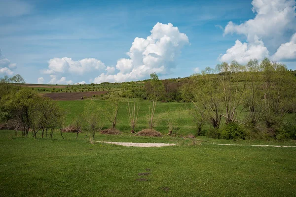 田園風景と青空が広がる美しい田園風景 — ストック写真