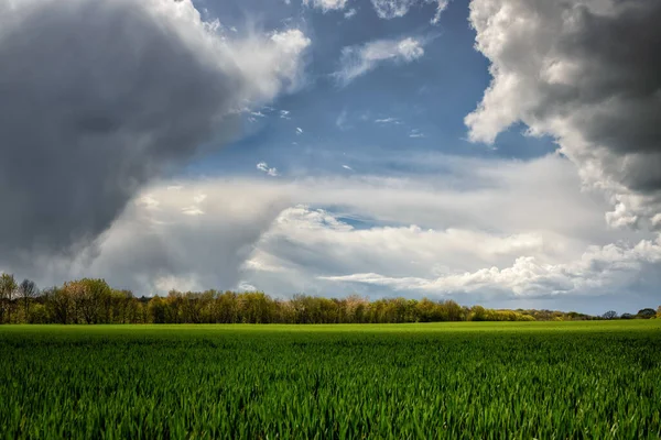 thunder clouds over an industrial agricultural landscape of wheat or barley