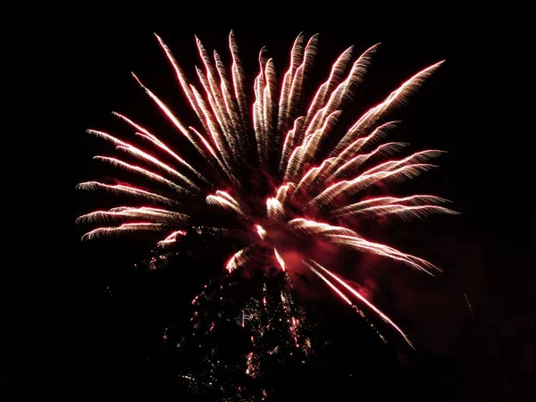 Firework Amusement Entertainment Fun Black Night Sky — Stock Photo, Image