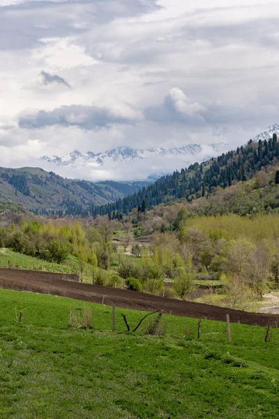 Yeşil çimenlerin, yeşil ağaçların, bir yolun ve bulutlu gökyüzünün altındaki yeşil tepelerin güzel bir görüntüsü.