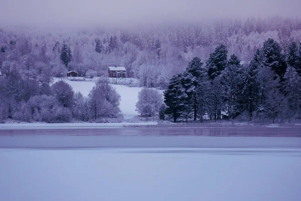 在白雪密布的森林中 一张漂亮的房子照片 — 图库照片