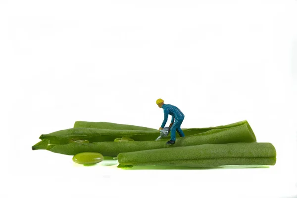 Worker Chainsaw Works Snap Bean White Background Concept Vegan Food — Photo