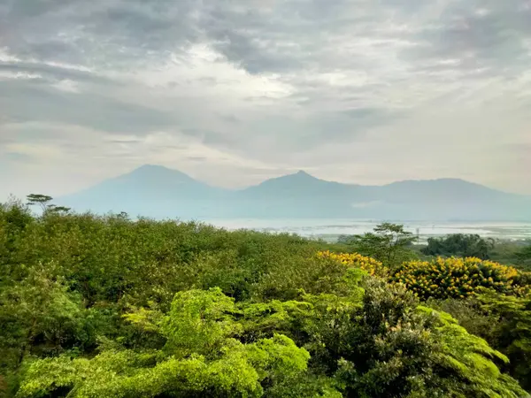 Green Trees Lake Mountains Background Cloudy Sky — Zdjęcie stockowe