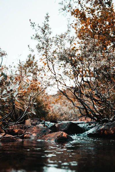 Вертикальный Кадр Потока Рюкане Норвегия Осенним Днем — стоковое фото