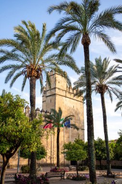 Hristiyan hükümdarların ve palmiye ağaçlarının tropik kalesi, Cordoba, İspanya