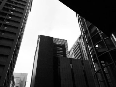 Şehir binalarının gökyüzüne karşı gri ölçekli alçak açılı görüntüsü. Taipei Şehri, Tayvan.