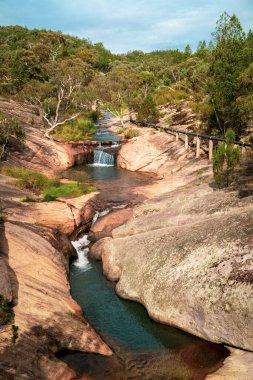 Beechworth Vadisi, Victoria 'da arka planında bir orman olan küçük bir nehrin dikey görüntüsü.