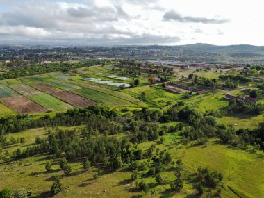 An aerial view of a green landscape with meadows and fields in cloudy sky background