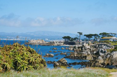 A natural view of a rocky coast under a clear sky during summertime