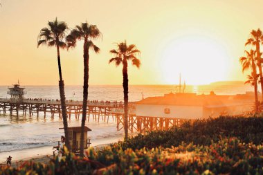 A scenic view of palm trees on the beach, San Clemente pier, California