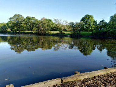 Yeşil bir parkta kirli kahverengi bir göl..