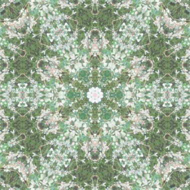 Arka plan için yeşil, beyaz ve gri desenli güzel bir çiçek deseni