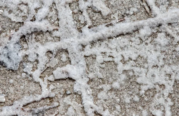 Detailní Záběr Soli Krystalizované Písku Zemi Poušti Přírodě — Stock fotografie