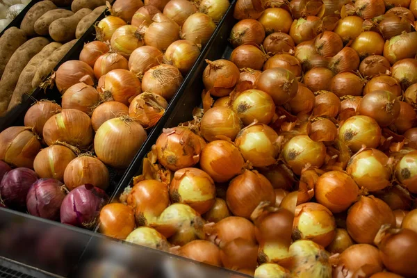 Augusta Usa Retail Store Fresh Produce Rows Onions Display — Stockfoto