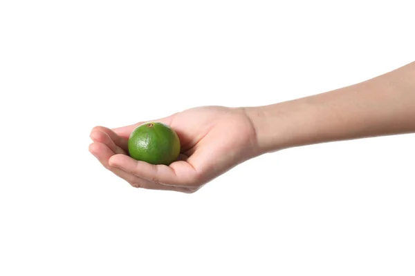 Uma Mão Masculina Segurando Limão Verde Isolado Fundo Branco — Fotografia de Stock