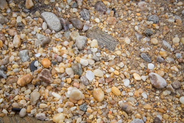 Farklı kumsal çakıl taşları ve kiremitlerinin yakın çekimi.