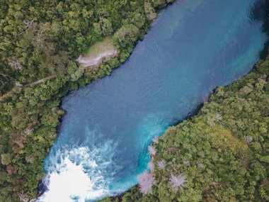 Yeni Zelanda 'da güzel bir sahil manzarası.