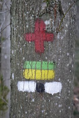 A vertical shot of a plus sign on tree bark in Germany