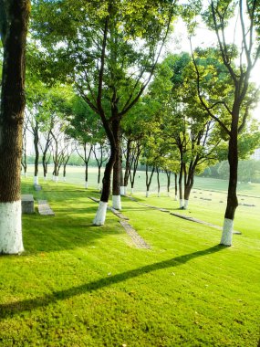 A vertical shot of a green park under the sunlight