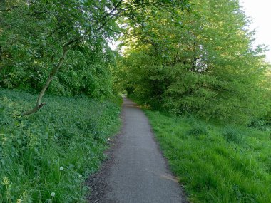 Parlak yeşil bir parkta uzun bir yürüyüş yolu