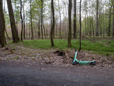 A green electric scooter dumped in the woods during the day