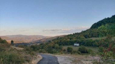 A road surrounded by trees and mountains in the background