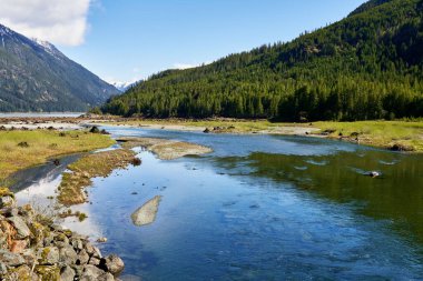 Uzak bir göle boşaldığı bir nehir yatağı manzarası. Yoğun kozalaklı ağaçlarla kaplı yağmur toprağı dağları..