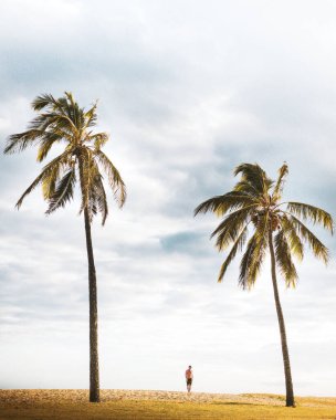 A lonely man in the distance relaxing on peaceful beach with two tall palms