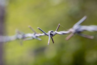 Macaristan 'ın Zalaegerszeg kentindeki Csacsi botanik bahçesinde bulanık arkaplandaki çelik dikenli tellere yakın plan.