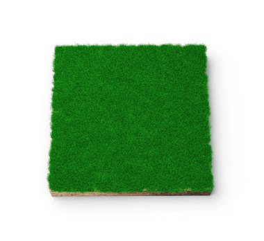 A 3D illustration of a square of a green grass field isolated on a white background