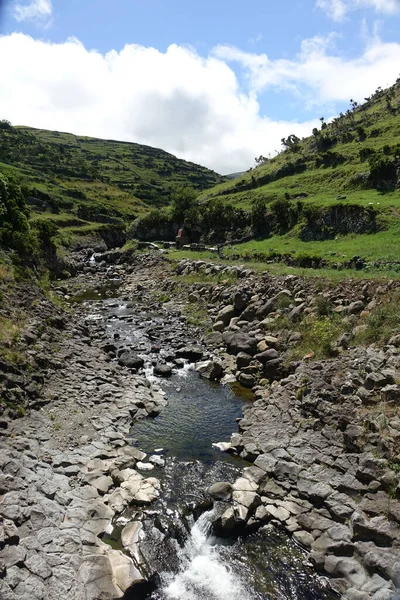 A beautiful landscape view of a mountain creek flowing over stones in bright sunlight in Flores Island, Azores, Portugal