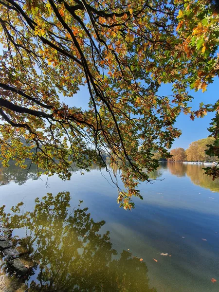Closeup Autumn Foliage Its Beautiful Reflection Lake Water — Stockfoto