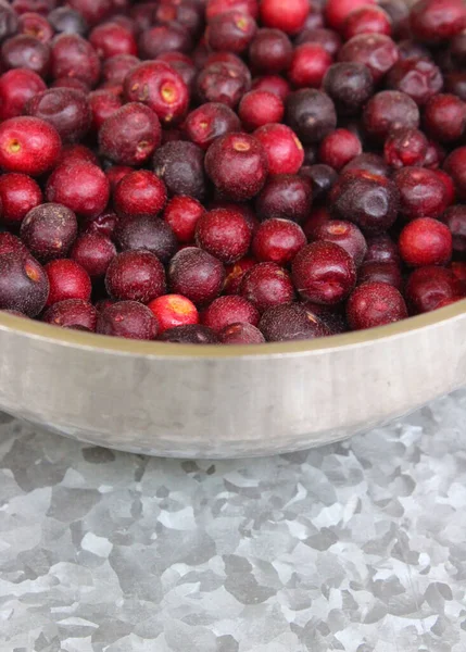 Closeup Indian Sherbet Berry Phalsa Fruit Steel Bowl — Stock Photo, Image