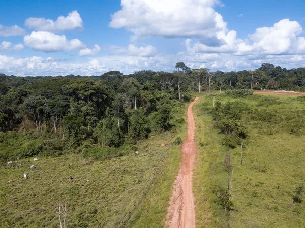 ブラジル 南アメリカのアマゾン熱帯雨林の空中ショット — ストック写真