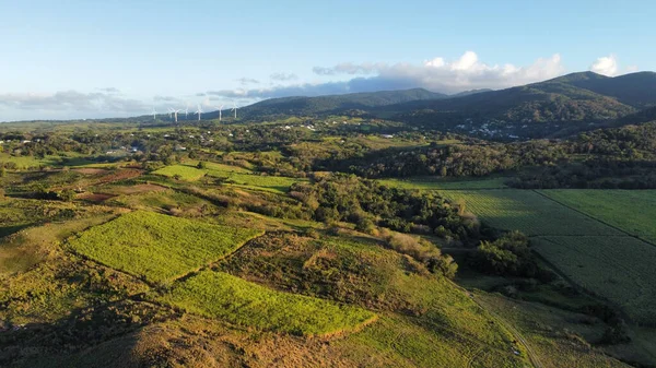 Aerial View Beautiful Landscape Green Fields Windmills Distance — Photo
